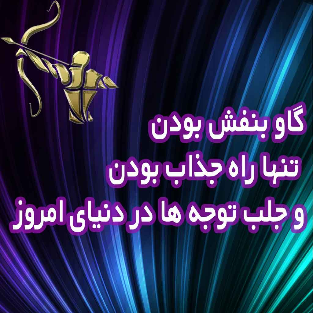 گاو بنفش بودن تنها راه جذاب بودن و جلب توجه ها در دنیای امروز