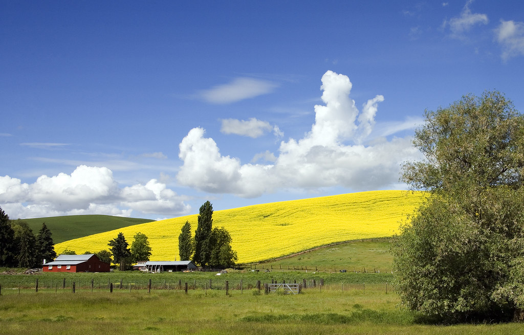 A farm in Idaho, USA