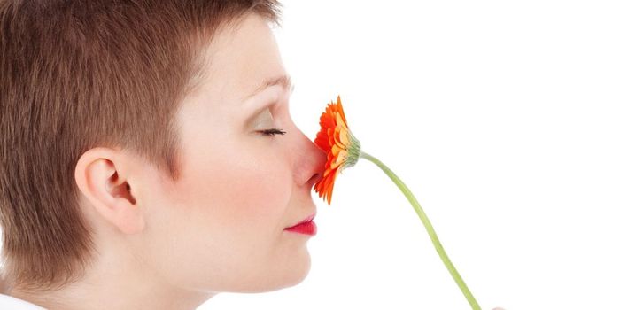 Olfactory